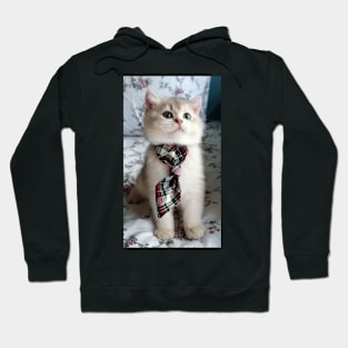 the ribbon cute cats Hoodie